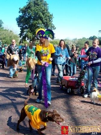 mardi gras 2025 in natchitoches louisiana