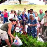 Green Market to Open Fall Season on October 13