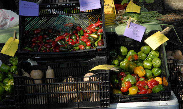 Green Market